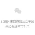 【10、11、26、30 】鸟.gif 图片